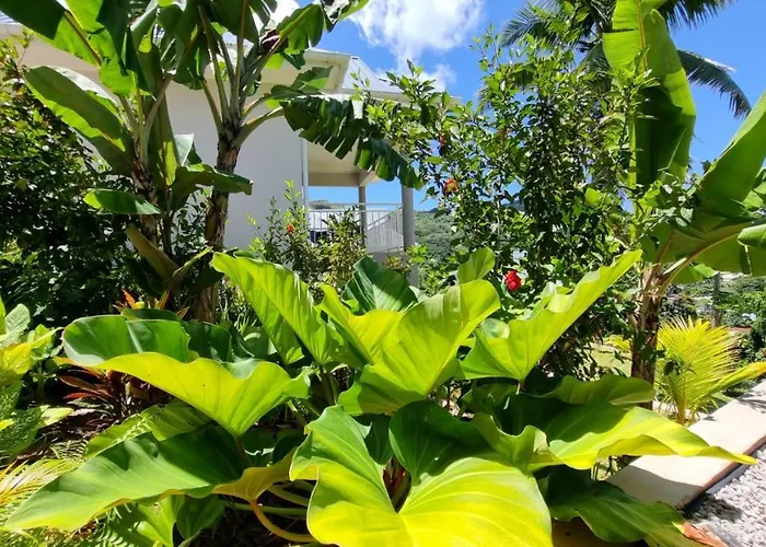 Appart hôtel La Trouvaille Anse a La Mouche